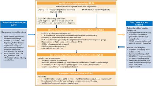 Figure 4 Key elements for translating CONQUEST Quality Standards into practice.