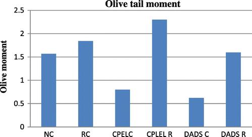 Figure 10. The olive tail moment in control, sublethal dose radiation control, and papaya and DADS pretreatment prior irradiation groups.