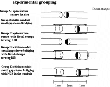 Figure 11 The different repair methods of every group.