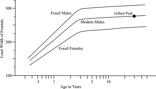 Figure 4 Semi-log plot of least width of frontals to individual age in late Pleistocene and modern bison skulls (adapted from CitationWalker, 1992: Fig. 7).