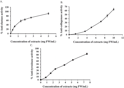 Figure 1. Inhibition activities of V. mullaha fruit extracts. A: porcine pancreatic elastase; B: Clostridium histolyticum collagenase; C: mushroom tyrosinase. Extracts concentration was equivalent to the mg FW/mL reaction medium; each value is expressed as mean ± SE (n = 3).