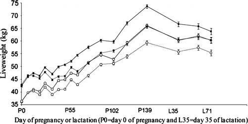 Fig. 1  The effect of hogget liveweight group (L (○) or H (▪)) and nutritional treatment (medium (---) or ad lib (—)) on hogget liveweight during pregnancy (day 0 of pregnancy = P0) and lactation (day 35 of lactation = L35) (mean±SE).