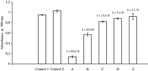 Figure 1. Cytotoxic effect of K2[B3O3F4OH] on mouse melanoma cell line B16F10. (Control 1) Cells without the addition of K2[B3O3F4OH] and in the absence of Ca2+ ions; (Control 2) cells without the addition of K2[B3O3F4OH] and in the presence of different concentrations of Ca2+ ions 9.42–72.42 mM (average value); (A–E) cells after addition of 3.85 mM K2[B3O3F4OH] and in the presence of Ca2+ ions: (A) 0.42 mM, (B) 9.42 mM, (C) 18.42 mM, (D) 36.42 mM and (E) 72.42 mM.