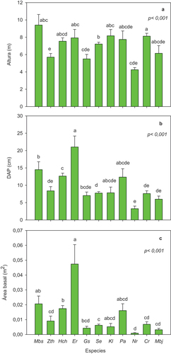 Figure 3. Variables dendrométricas por especies. (a) altura; (b) Diámetro a la altura del pecho, DAP; (c) Área basal. Resultados prueba de kruscal-wallis y de la comparación por pares mediante la prueba U de Mann Whitney (media ± error estándar). Abreviaturas: Myroxylon balsamum (Mbs), Ziziphus thyrsiflora (Zth), Handroanthus chrysanthus (Hch), Eriotheca ruizii (Er), Geoffroea spinosa (Gs), Simira ecuadorensis (Se), Klarobelia lucida (Kl), Priogymnanthus apertus (Pa), Nectandra reticulata (Nr), Coccoloba ruiziana (Cr) y Melicoccus bijugatus (Mbj).