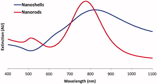 Figure 1. Extinction of nanoshells and nanorods. The extinction of the nanoshells and nanorods used in the study are shown. A broad plasmon resonance is observed for nanoshells, while a narrower resonance is observed for nanorods.