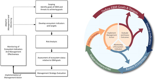 Figure 1. The NOAA integrated ecosystem assessment (IEA) framework. Left: IEA framework as originally depicted by Levin et al. (Citation2008, Citation2009). Right: as currently depicted with additional detail in the management implementation steps, following Samhouri et al. (Citation2014).