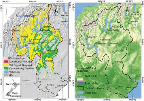 Figure 1. Study area: The Clutha/Mata-Au river catchment, New Zealand showing the spatial distribution of the three grassland types (alpine grass/herbfield, Tall Tussock and low producing) investigated in this study (LCDB-v4.1 Citation2015). The average Normalized Difference Vegetation Index (NDVI) in the catchment during 2001–2016 was calculated from a MODIS time series (see methods)