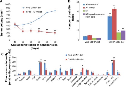 Figure 7 In vivo anti-cancer efficacy of CHNP–SR9.Notes: (A) The in vivo studies revealed that CHNP–SR9 significantly reduced the tumor volume when compared to the void CHNP diet within a period of 70 days. Diet consists of 1.2% w/w of void CHNP or CHNP-SR9 per kg of standard feed. (B) The apoptotic index, the necrotic index (counted using annexin V and PI stained tumor sections) was much higher in the case of CHNP–SR9 when compared with void CHNP. (C) The nanocarrier biodistribution studies showed that the nanocarriers were highly specific to the tumor, since their maximum uptake was in the tumor cells when compared to other organs and tissues of the mice. *P<0.05. **P≤0.01.Abbreviations: SR9, cell-permeable dominant negative survivin SurR9-C84A; CHNP, chitosan nanoparticles; PI, propidium iodide; Smac, second mitochondria-derived activator of caspases; A/I, apoptotic index; N/I, necrotic index; NPs, nanoparticles; MLN, mesentric lymph nodes.