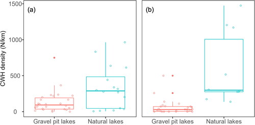 Figure 6. Comparison of coarse woody habitat (CWH) densities in gravel pit lakes in Lower Saxony, Germany, and (a) natural lakes in northern Wisconsin and Upper Michigan, United States, with a bole diameter ≥ 5 cm (data extracted from Christensen et al. Citation1996) and (b) natural lakes in Ontario, Canada with a bole diameter ≥ 10 cm (data extracted from Pearce et al. Citation2022). Boxes represent the 25th to the 75th percentile, with the median represented by the thick horizontal line; whiskers display 1.5 times the interquantile range and filled dots display outliers. Circles represent the observed data.