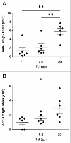Figure 1. Characterization of anti-Tat humoral responses in sera. Serum samples of mice immunized 3 times ID with Tat protein at the dose of 1, 7.5 or 30μg were collected at day 42 from retro-orbital plexus and the presence of anti-Tat IgG and IgM was evaluated by Elisa test. Briefly, 96-well plates were coated with Tat (100ng/200μl/well) in 0.05 M carbonate buffer (pH 9.6) for 18 hours at 4°C. Plates were washed with PBS containing 0.05% Tween 20 (Sigma-Aldrich, Milan, Italy), and incubated for 90 minutes at 37°C with blocking buffer. The following blocking buffers were used: PBS containing 0.05% Tween 20 and 1% BSA (for IgG) and PBS containing 0.05% Tween 20 and 3% BSA (for IgM). After extensive washes, serial dilutions of each serum were dispensed in duplicate wells (100μl/well) and incubated for 90 minutes at 37°C. Plates were washed again before the addition of 100 μl/well of HRP-conjugated goat anti-mouse IgG or IgM (Sigma), and incubated at 37°C for 90 minutes. After incubation, plates were washed 5 times and subsequently a solution of 2,2'-Azinobis [3-ethylbenzothiazoline-6-sulfonic acid]-diammonium salt (ABTS) substrate (Roche) was added. The absorbance values were measured at 405 nm with an automatic plate reader (SUNRISE TECAN Salzburg-Austria). The cut-off value was estimated as the mean OD of 3 negative control sera plus 0.05. Each OD value was subtracted of the blank and cut-off values to obtain a net OD value and IgG titers calculated by intercept function. (A) Titers of serum anti-Tat IgG. (B) Titers of serum anti-Tat IgM. *P < 0.05, **P < 0.01 according to 2-tailed Mann Whitney test. Results of 2 independent experiments are shown. Dots represent single mice and lines represent the means +/− SEM.