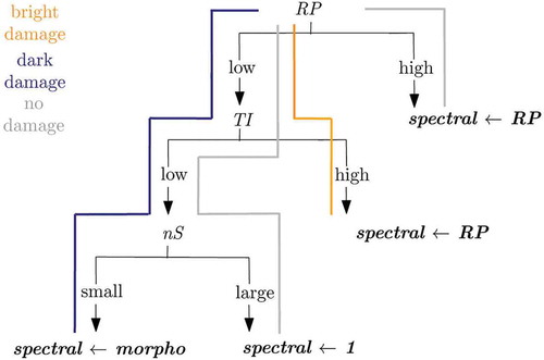 Figure 3. Spectral feature pre-processing. The spectral feature takes either the morpho or the RP amplitudes. A non-damaged site is said to manifest high repetitiveness. In places of low repetitiveness, low texture intensity, the morpho feature is adopted. It exhibits low amplitudes for blackish (damaged), and high amplitudes for luminous (non-damaged) areas. Thanks to the segment size, black non-damages roofs and black damaged roof parts are separated. High TI and RP are a signature of damaged sites (such as in Figure 4); thus, the RP response is adopted.