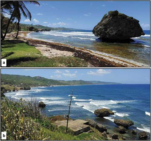 Figure 12. Mushroom rocks along Barbados east coast: a) large mushroom rock just 20 meters down the hill from Dina’s Bar next to Bathsheba Park, and b) Looking northwest along Long Beach, just south of Bathsheba with many mushroom rocks visible along the shore. Photographs by C.D. Allen, 2018.