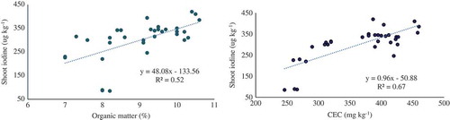 Figure 3. Relationship iodine concentration in mint versus organic matter and CEC of soil.