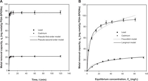 Figure 6 Removal kinetics (A) and removal isotherms (B) for lead and cadmium removal by PGA-SPIONs.Abbreviation: PGA-SPIONs, poly(γ-glutamic acid)-superparamagnetic iron oxide nanoparticles.