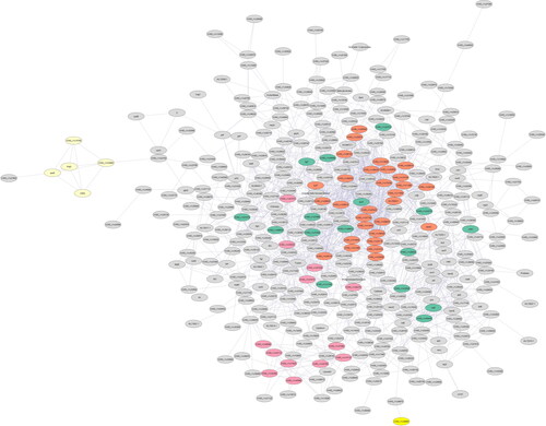 Figure 4. Basic PPI network of Vibrio vulnificus E4010 constructed using STRING consisting of 375 nodes and 1606 edges with clusters highlighted.