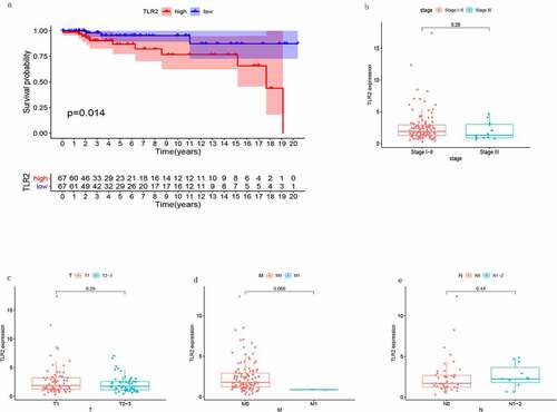 Figure 6. Association of TLR2 with TGCT patient survival as well as tumor clinical stage. (a) TLR2 expression and survival analysis of TGCT patients, the patients were divided into high TLR2 expression group and low TLR2 expression group. (b-e) Correlation between TLR2 expression and clinical stage of tumors