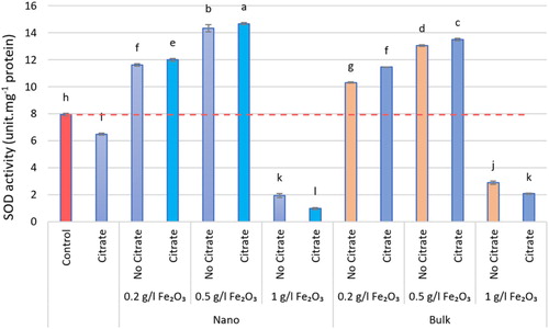 Figure 6. The SOD activity of different nα-Fe2O3 and bα-Fe2O3 treatments at 4 levels (0, 0.2, 0.5, 1 g.L−1) with and without citrate interaction. Mean values followed by different letters are significantly different at P < 0.05 according to Duncan’s multiple range test.