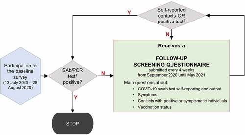 Figure 1. Flowchart of the follow-up screening in the CHRIS COVID-19 study from the individual participant point of view. Baseline participation involved 845 individuals. Of them, 9 were immediately excluded from the follow-up because of a positive test, 1 was additionally excluded (see text for details) and 138 never replied to any follow-up questionnaire, leaving 697 individuals with available follow-up data who were included in the analyses. Detailed figures by month are reported in Table 2. 1Performed at the study center. 2Self-reported contacts with positive or symptomatic individuals or any positive swab test.