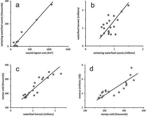 Figure 2. Correlation between the variables analyzed in this study: (a) Relationship between wintering waterfowl abundance and coastal lagoon area in ten Mexican lagoons (r = .98; n = 9 lagoons); (b) annual waterfowl harvest in the United States plotted against migratory waterfowl abundance in Mexico (r = .65; n = 19 years); (c) hunting stamps sold yearly against previous-year waterfowl harvest in the United States (r = .90; n = 19 years); (d) annual stamp-sale revenue against hunting stamps sold in the United States (r = .86; n = 19 years). All correlations were significant at the P = .01 level.