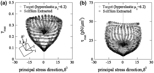 Figure 12. Principal stress direction of the synthetic target from hyperelastic material model and extracted response after SelfSim: (a) with maximum shear strain, and (b) with maximum shear stress.