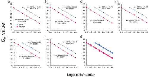 Figure 1. Quantification of P. aeruginosa by RT-qPCR and comparison of sensitivity with qPCR. PA ATCC 10145T (A), ATCC 9027 (B), ATCC 15442 (C), JCM 2776 (D), JCM 5961 (E), and DSM 6195 (F) were cultured separately. RNA and DNA were extracted from cultured samples in the early stationary phase. Bacterial counts were determined microscopically with DAPI staining. Based on bacterial counts, 10-fold serial dilutions of RNA or DNA from 10−2 to 104 cells were assessed. The Cq values obtained were plotted against the log10 number of bacterial cells subjected to each reaction (n = 3). Values are the mean ± SD. (G) The parameters from the linear regression analyses for the 6 different PA strains.