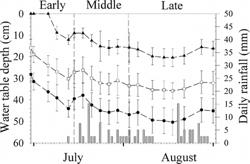 FIGURE 4. Mean water table depths in high, middle, and low elevation plots and daily precipitation at Phantom Valley SNOTEL site, 1 July to 31 August 2003. Low, middle, and high plot mean water table depths are denoted by solid triangles, open squares, and solid circles, respectively. Bars around each point indicate one standard deviation. Bar graph indicates daily rainfall totals (mm)