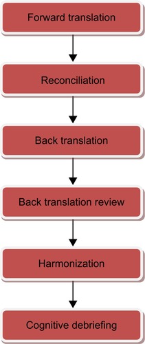 Figure 1 Stages of the translation process.