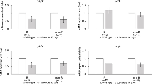 Figure 3 mRNA expression levels of chromosomal ampC, acrA, yhiV, mdfA genes in this study cefmetazole exposure assay.