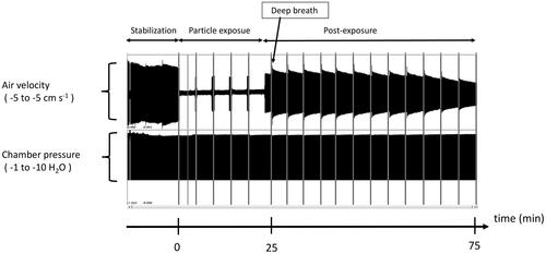Figure 2. Typical diagram of the air velocity measurement using a pneumotachograph connected to a rat lung. After 15 min of stabilization, the lung was exposed to particles, typically for 25 min. This was followed by 50 min of post-exposure during which a deep breath was initiated every 5 min. During coarse particle exposure, the pneumotachograph was connected to the rat lung 4 times for short 30 s measurements. The vertical gray lines show each of the 5-min occasions when the tidal volume was measured during 12 deep breaths (10 s).