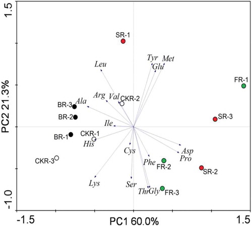 Figure 1. Principal component analysis of 17 amino acids in the buds of Aralia elata by different cooking methods. CKR: raw buds; BR: boiled buds; SR: steamed buds; FR: Stir-fried buds.Figura 1. Análisis de los principales componentes de los 17 aminoácidos presentes en los capullos de Aralia elata preparados mediante distintos métodos de cocción. CKR: capullos crudos; BR: capullos hervidos; SR: capullos al vapor; FR: capullos salteados.