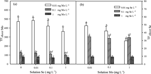Figure 2. Solution to shoot transfer factors (TF shoot ) for molybdenum (Mo) and selenium (Se) in Chinese cabbage (Brassica campestris L. ssp. Pekinensis) grown at different Mo and Se concentrations in solution culture. Bars mean standard errors (n = 4). Different letters indicate significant differences at p < 0.05.