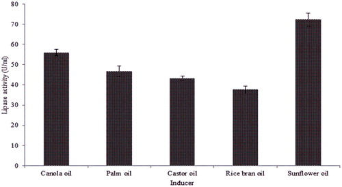 Figure 3. Effect of inducer oils on lipase production by Bacillus aryabhattai SE3-PB grown in a basal medium at 37 °C (130 rpm) for 48 h.Note: Values indicate the average of triplicate values; error bars represent the standard deviation.