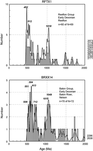 Figure 10 Probability density/histogram diagrams of 206Pb/238U detrital zircon ages in Devonian quartzites RFTX1 and BRXX14, respectively from Buller and Takaka Terranes. Ages > 2000 Ma are stacked at right margin. Ages of significant age components are shown in italic numerals. N, set total; n, subset displayed.
