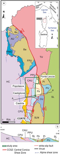 Figure 1. (a) Tectonic sketch of the central Corsica with the location of the studied area. In the figure, the Hercynian Corsica (HC) is represented in lilac. Within the AC, the Lower Units (TU: Tenda Unit; CU: Caporalino Unit; PU: Pedani Units; FPU: Fuata-Pedanu Unit; PMU: Palasca-Multifao Unit; PPU: Piedigriggio-Prato Unit; CAU: Croce d’Arbitro Unit; CPU: Castiglione-Popolasca Unit), the Schistes Lustrés Complex (SL), the Upper Units (Ba: Balagne Units; Bo: Bas-Ostriconi Unit; Pi: Pineto Unit; SLN: Santa Lucia Nappe) are distinguished. Fb: Francardo Basin; (b) Schematic cross-section of the Central Corsica (modified after CitationDi Rosa et al., 2019a).