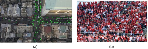 Figure 1. (a) was captured by UAV with points annotation and (b) was captured by video surveillance with points annotation.