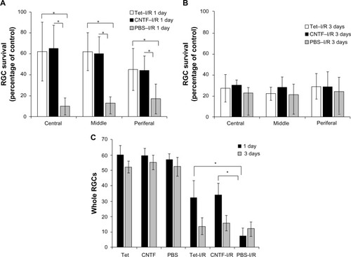 Figure 7 Statistical analysis of RGC survival following Tet application in vivo.