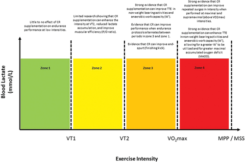 Figure 2. The effects of creatine supplementation to enhance different exercise intensities.