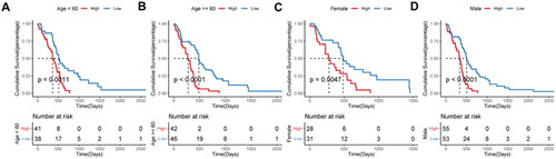 Figure 7. Prognostic efficacy of the risk score model in different clinical subgroups.A–B, Kaplan-Meier survival analysis in age subgroup. C–D, Kaplan-Meier survival analysis in sex subgroup.