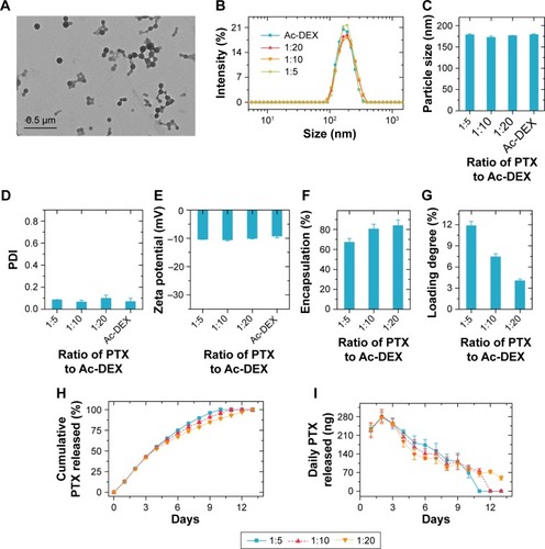 Figure 1 Characterization of Ac-DEX nanoparticles and PTX release profiles.Notes: (A) Typical transmission electron microscopy image of empty Ac-DEX nanoparticles. (B–E) The dynamic light scattering profiles (B), average particle size (C), PDI (D), and zeta-potential (E) of the Ac-DEX nanoparticles loaded with and without PTX. (F and G) Encapsulation efficiency (F) and loading degree (G) of PTX inside the Ac-DEX nanoparticles. (H and I) Cumulative PTX release profiles (H) and daily PTX release profiles (I) from Ac-DEX nanoparticles in artificial cerebrospinal fluid. Data presented as mean ± standard deviation (n=3).Abbreviations: Ac-DEX, acetalated dextran; PDI, polydispersity index; PTX, paclitaxel.