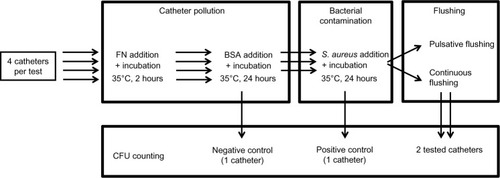 Figure 1 Design of the protocol.