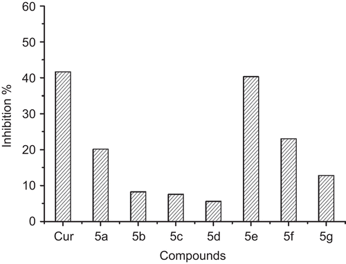 Figure 2.  Compounds 5a–5g Aβ1-42 fibril inhibition compared with that of curcumin. The test was conducted in the presence of 20 μM compounds.
