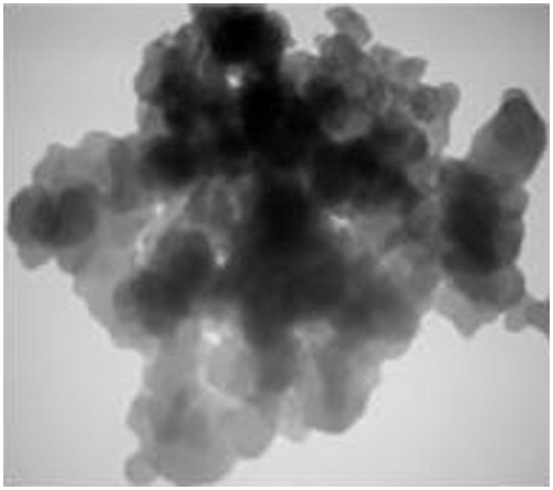 Figure 1. Transmission electron microscopy (TEM) image of calcium carbonate nanoparticles.
