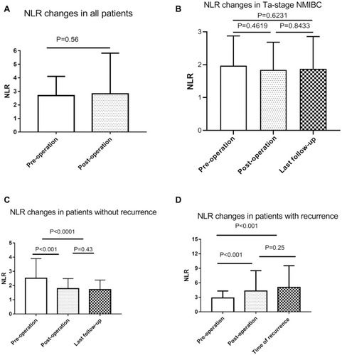 Figure 2 NLR changes in patients with/without bladder cancer recurrence. (A) Preoperative NLR and changes in NLR after surgery for all 213 patients. (B) NLR in Ta-stage NMIBC patients at preoperation, postoperation, and last follow-up. (C) In nonrecurrence cases (N=126). The preoperative NLR decreased postoperatively and remained stable after surgery. (D) In recurrence cases (N=87), the NLR increased postoperatively and continued to the diagnosis of recurrence.