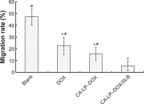 Figure 4 Suppression of cell motility in HCC97H cells.Notes: *P<0.05, compared with blank group. #P<0.05, compared with CA-LP– DOX/SLB.Abbreviations: CA-LP, DSPE-PEG-cholic acid-modified liposomes; DOX, doxoru-bicin; SLB, silybin.