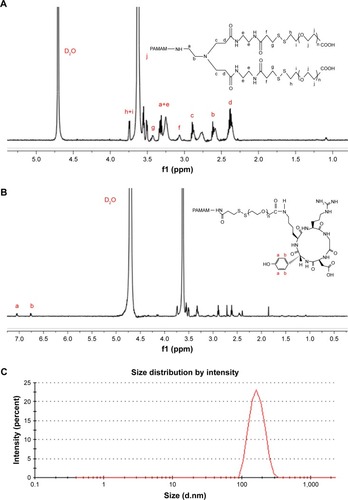 Figure 4 (A) 1H-NMR analysis of PSSP conjugate. (B) 1H-NMR analysis of PSSP-RGD16 conjugate. (C) Size distribution of the PSSP-RGD16 was determined by dynamic light scattering.Abbreviations: NMR, nuclear magnetic resonance; PAMAM, polyamidoamine; PEG, polyethylene glycol; PSSP, PAMAM-SS-PEG; RGD, arginine-glycine-aspartate.