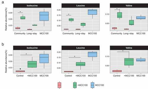 Figure 7. Relative abundance of the branched chain amino acids (BCAA) isoleucine, leucine and valine identified in fermentation samples of the MCC100 (blue), fecal control fermentation samples (red) or fecal control fermentation supplemented with the MCC100 (green) after 3 days of fermentation culture. (a) BCAA in samples separated by microbiota type. (b) BCAA in all aggregated fermenter samples. BCAA were identified by UPLC-MS in both negative and positive ionization modes. Results of negative mode are shown. Statistically significant differences were determined using (a) Mann-Whitney test (p-adjust<0.05) and (b) Kruskal–Wallis test (p-value<0.05), followed by Dunn’s post-hoc test (*p-value < 0.05)