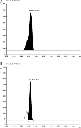 Figure 2. HPTLC chromatogram. A: Arjunolic acid standard; B: HETA.