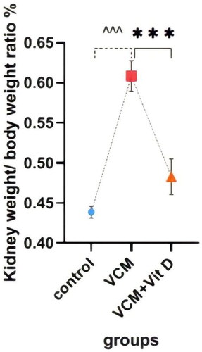 Figure 2. The effect of vancomycin and vitamin D3 on kidney weight/body weight ratio. The data are expressed in mean ± SEM and n = 7 in each group. Normal diet (control); vancomycin exposed group without treatment (VCM); vancomycin exposed group treated with vitamin D3 (VCM + Vit D) groups. ^^^p < 0.0001 compared with the corresponding value in the control group. ***p < 0.0001 compared with the corresponding value in the VCM group.
