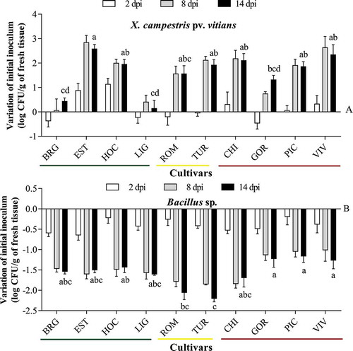 Fig. 4 Variation in the initial inoculum populations of Xanthomonas campestris pv. vitians strain B07-007 (a) and Bacillus sp. (b) on 10 lettuce cultivars (see caption of Fig. 1 for cultivars abbreviations). Four-wk-old Lactuca sativa plants were inoculated with 108 CFU mL−1. Bacterial populations were sampled four times over a period of 14 d post inoculation (dpi). The white, grey and black bars indicate 2, 8 and 14 dpi, respectively. The green, yellow and red lines indicate tolerant, intermediate and susceptible cultivars, respectively. Multiple comparison LSD test was performed on 14 dpi values; black bar values accompanied by the same letter are not significantly different (P < 0.05).