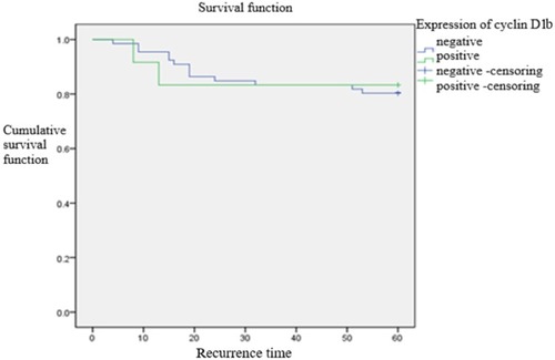 Figure 4 Comparison of time to postoperative recurrence between cyclin D1b-positive and cyclin D1b-negative group. The short-term recurrence rate showed no statistically significant difference between the two groups (p = 0.882).